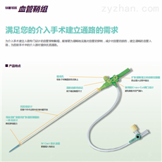 RS*A40G07SQ RM*AF5J25SQW泰尔茂血管鞘组RM*AF4J16SQW